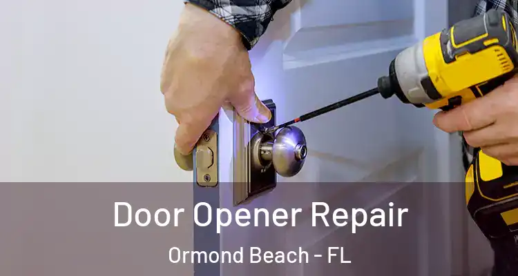  Door Opener Repair Ormond Beach - FL