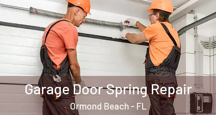  Garage Door Spring Repair Ormond Beach - FL