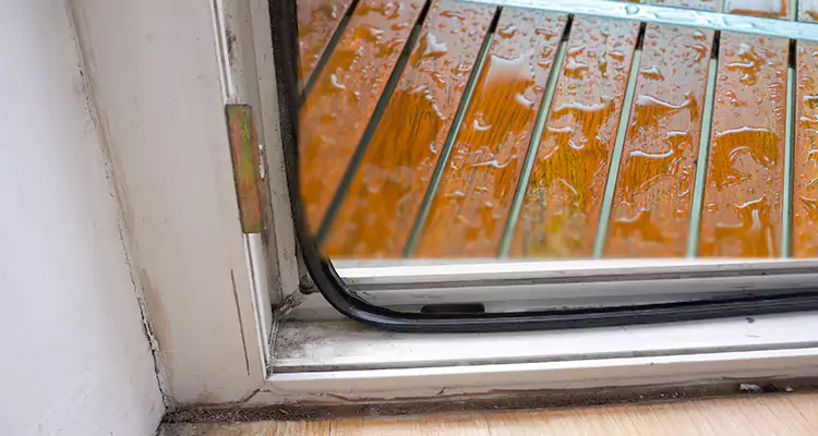 Water Leaking Wooden Patio Doors Repair in Ormond Beach, FL