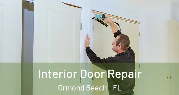  Interior Door Repair Ormond Beach - FL